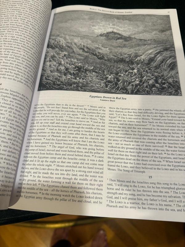 Clinora Complete Ethiopian Bible Collection